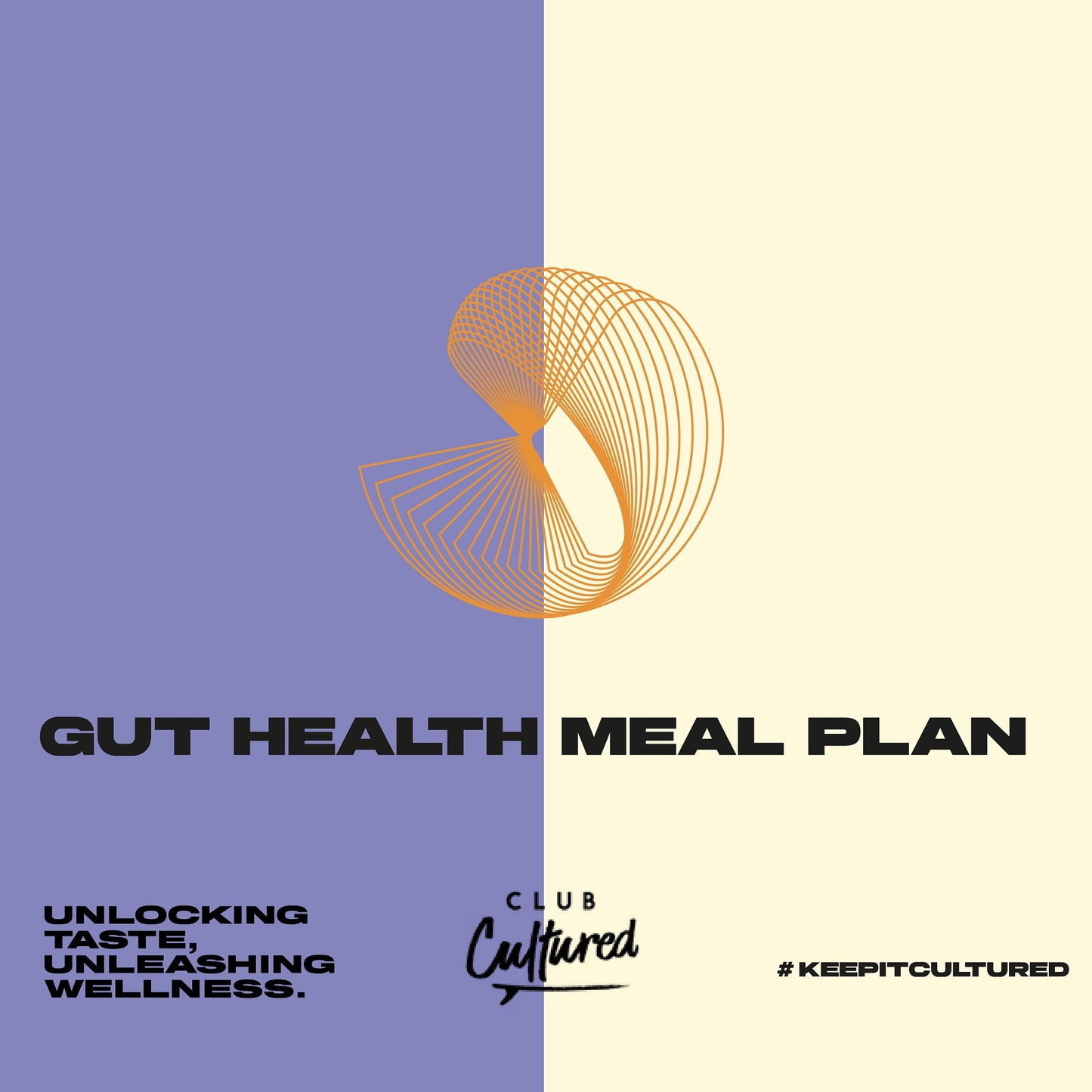 The Ultimate Gut Health Collection Bundle!